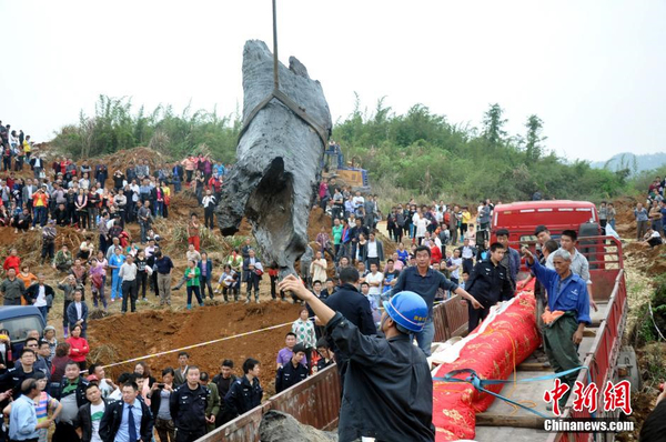 千年烏木重見(jiàn)天日-樹(shù)齡在4000年以上2