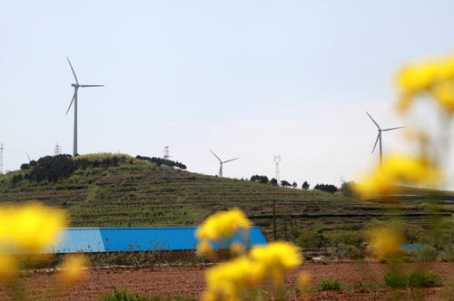 這是5月6日拍攝的山東威海中廣核風(fēng)電場。