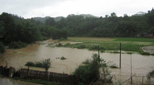 5月18日，在廣西昭平縣馬江鎮(zhèn)新興村，河水上漲淹沒部分農(nóng)田。