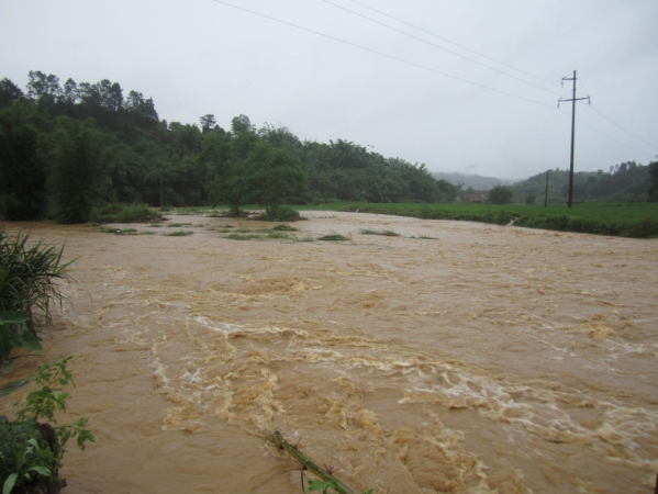 廣西多地遭遇暴雨襲擊-4