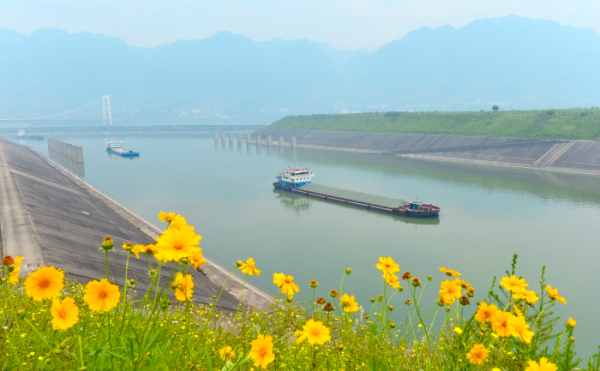 三峽水庫(kù)水位持續(xù)消落　五級(jí)船閘改為四級(jí)運(yùn)行4