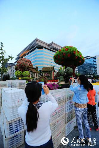 位于長安街沿線的“和諧家園”立體花壇尚未布置完畢，市民游客已在觀賞留影。