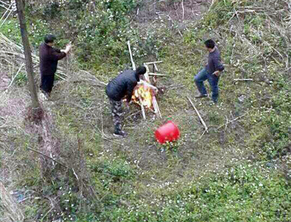 學校教官在女生宿舍樓下當場殺狗烤食4