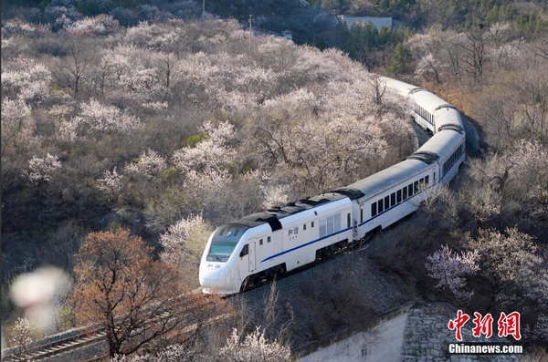 和諧號(hào)列車穿越居庸關(guān)花海 被贊開(kāi)往春天的列車5