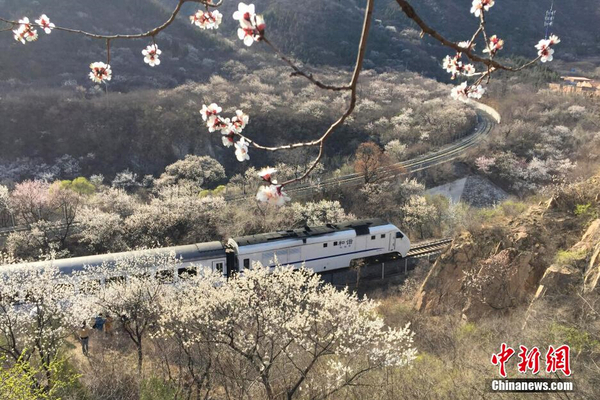 和諧號(hào)列車穿越居庸關(guān)花海 被贊開(kāi)往春天的列車3