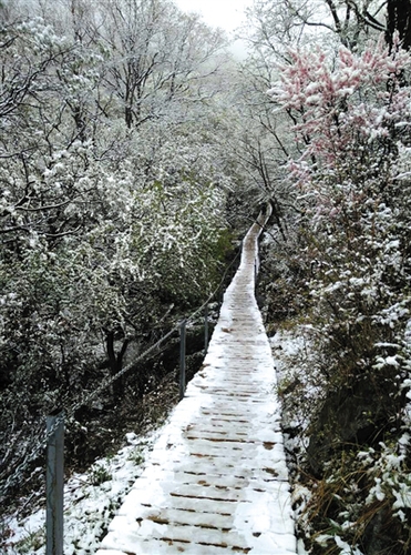 昨日中午，靈山上飄起小雪，至下午3點(diǎn)30分左右雪停。