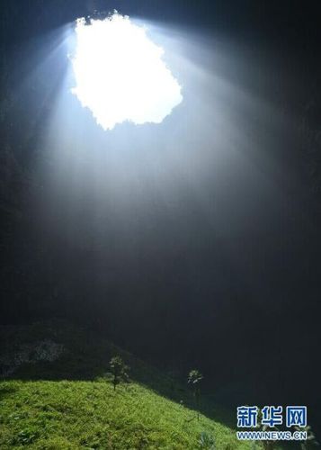 　5月19日，鑼圈巖天坑里的植物沐浴陽(yáng)光