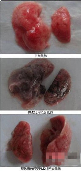 霧霾謠言大起底 你能識破多少個？