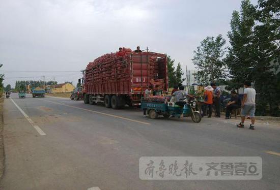 在商河縣白橋鎮(zhèn)亓家官莊村，不少大車停在村頭收大蒜。