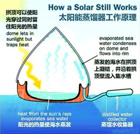 假如被困海上 該選擇喝尿還是喝海水？