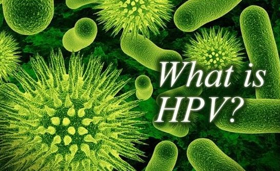 付虹：HPV感染會導(dǎo)致不孕需斥巨資治療？