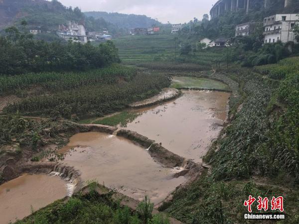 四川敘永遭遇58年來最大洪水 3