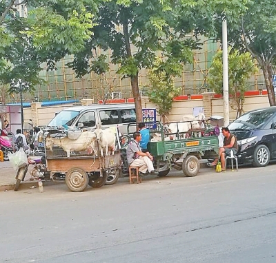 　街頭售賣(mài)新鮮羊奶的農(nóng)戶(hù)