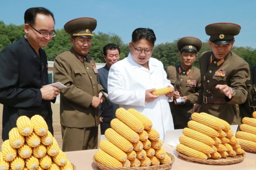 金正恩察看農(nóng)作物試點(diǎn)栽培田和溫室等，具體了解了育種情況。金正恩對(duì)農(nóng)場新培育出的適合朝鮮氣候土壤條件、產(chǎn)量高的玉米品種表示滿意。金正恩就農(nóng)場的今后工作作出指示，并為新品種玉米命名“平玉9”號(hào)。