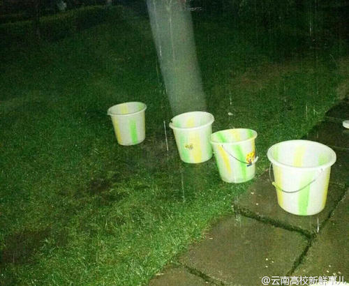 圖為學生拿桶接雨水。