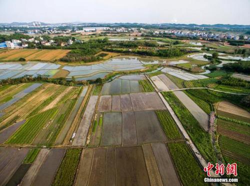 圖為航拍廣西柳州市柳北區(qū)沙塘鎮(zhèn)耕地，五彩繽紛。 黃威銘 攝