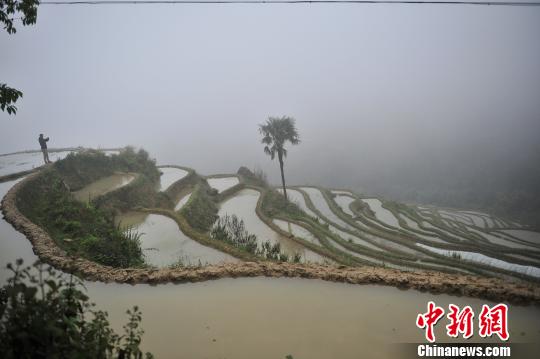 探訪世界遺產(chǎn)哈尼梯田：遭遇農(nóng)業(yè)人口外流危機(jī)