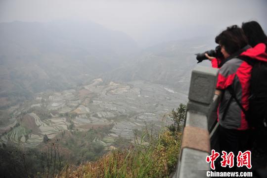 游客在哈尼梯田景區(qū)拍照?！⑷疥?yáng) 攝