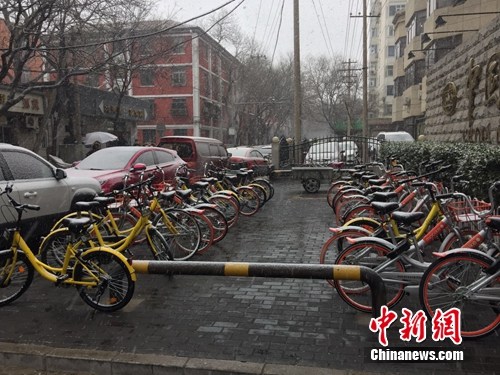 風(fēng)雪中的共享單車。<a target='_blank' href='http://www.chinanews.com/' >中新網(wǎng)</a> 吳濤 攝