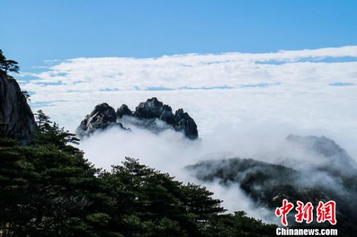  9日，安徽黃山風(fēng)景區(qū)經(jīng)過昨夜雷雨天氣的洗禮，云海、佛光等壯麗風(fēng)景展現(xiàn)在游客們的眼前?！±罱饎?攝