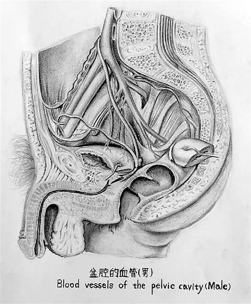 醫(yī)科大學(xué)女大學(xué)生的課堂筆記 線條清晰堪比藝術(shù)繪本