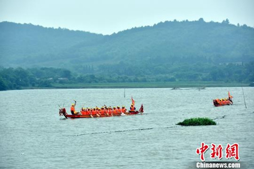 資料圖：江南水鄉(xiāng)端午節(jié)前龍舟“發(fā)船” 祈風(fēng)調(diào)雨順。龍舟在湖中辟波斬浪?！∪f朝暉 攝