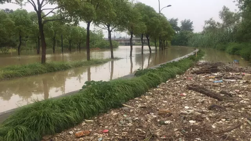 錢塘江流域暴發(fā)建國(guó)后第二大洪水 百年古橋被沖毀