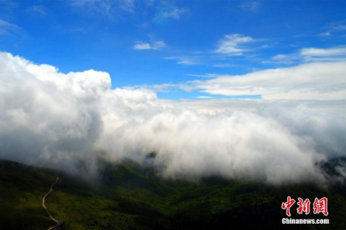 資料圖：神農(nóng)架現(xiàn)云海奇觀。 周星亮 攝