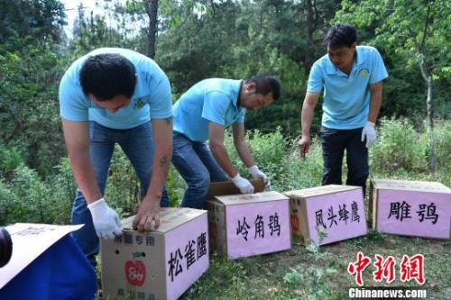 資料圖：云南省野生動物收容拯救中心工作人員準備放歸野生動物。　任東 攝