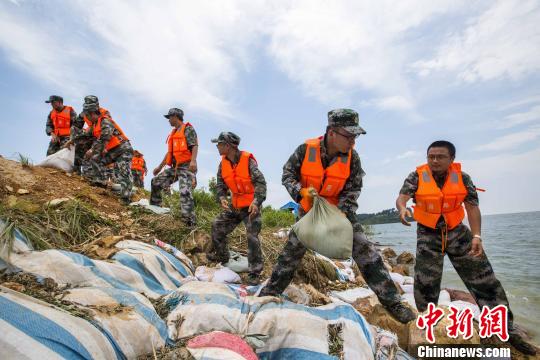 資料圖片，民兵應急分隊冒著酷熱進行堤壩加固?！「到ū?攝