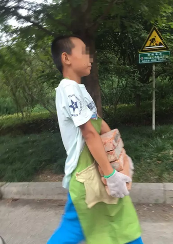 11歲搬磚男孩已退學(xué):學(xué)校的教育不好 我自己可以學(xué)