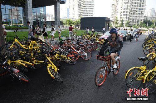 8月3日，北京街頭的共享單車。<a target='_blank' href='http://www.chinanews.com/'>中新社</a>記者 侯宇 攝