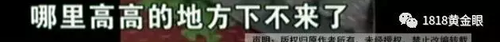 被罰站窗臺(tái)、關(guān)小黑屋？杭州一早教園或體罰孩子