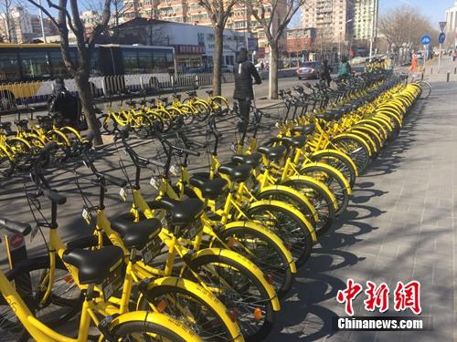 資料圖：一排共享單車整齊碼放。<a target='_blank' href='http://www.chinanews.com/' >中新網(wǎng)</a> 吳濤 攝