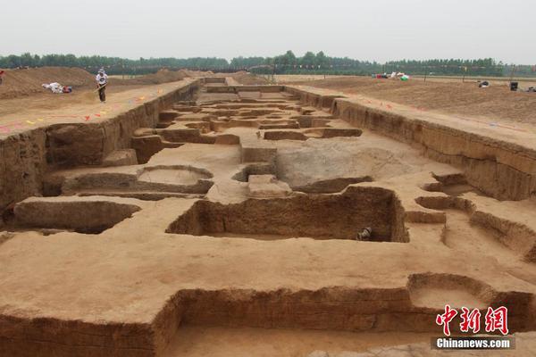 山東章丘焦家遺址考古工地現(xiàn)場圖。趙曉　攝