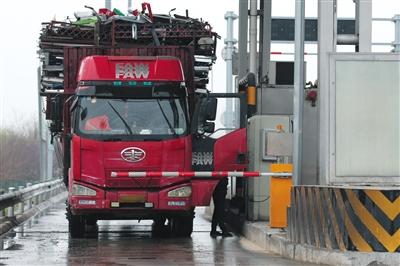 4月13日，京津高速臺湖收費(fèi)站，一名大貨車司機(jī)從車上下來取高速卡。本版攝影/新京報記者 朱駿