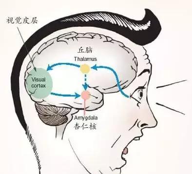 為何有人聽到指甲劃黑板的聲音就狂躁？