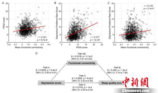 國(guó)際合作團(tuán)隊(duì)揭示抑郁癥與睡眠問題之間的腦調(diào)控機(jī)制