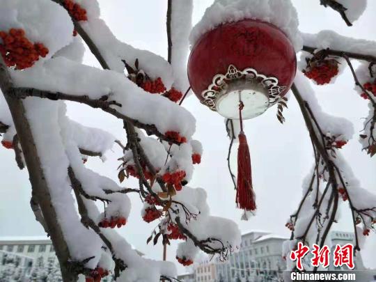 圖為街邊雪景?！垨|艷 攝