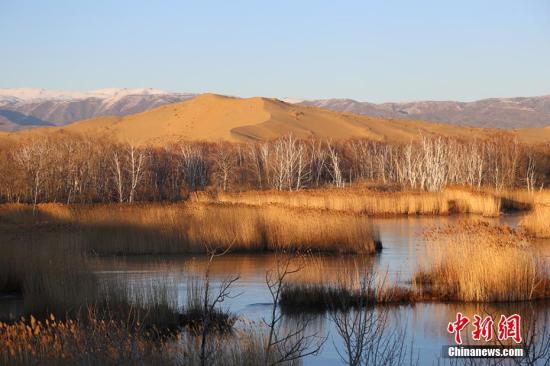 初冬時節(jié)，新疆生產(chǎn)建設(shè)兵團白沙湖景區(qū)。楊東東 攝