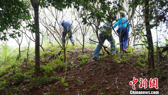 舊州古城墻遺址。　符宇群 攝