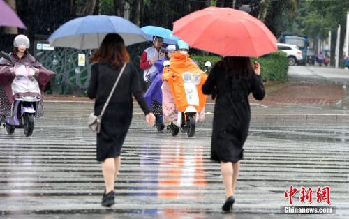 資料圖：2018年11月，福州市民在雨中出行。張斌 攝