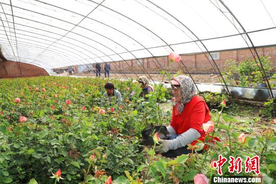 北京延慶精準集約服務(wù)保障世園會