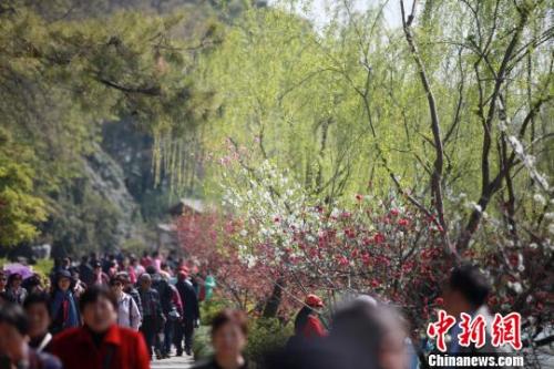 4月1日，大批游客在江蘇揚(yáng)州瘦西湖踏青游玩，親近自然?！∶系慢?攝