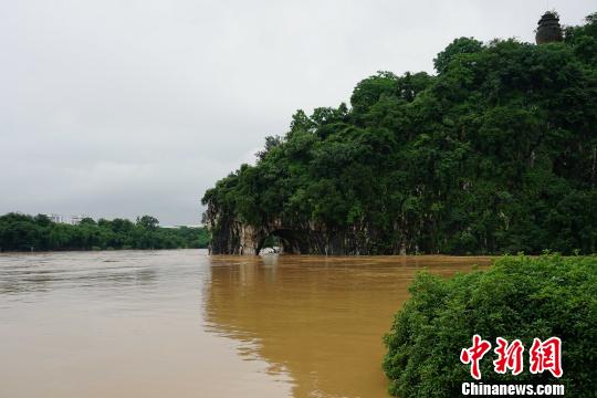 圖為桂林城徽象鼻山被淹?！√茐?mèng)憲 攝