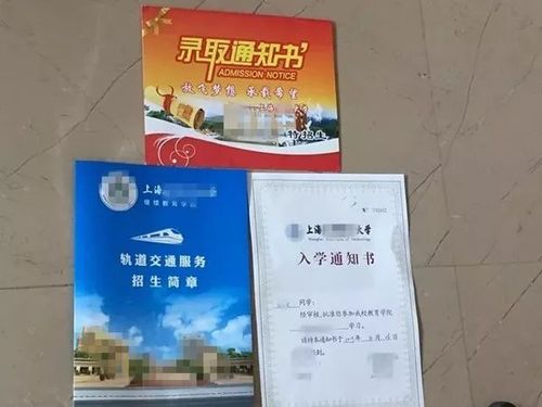 朱某印制的假大學錄取通知書