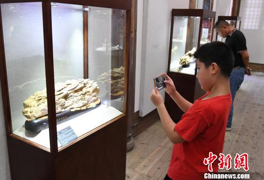 “青藍(lán)門徑·福建青年藝術(shù)家雕刻作品展”正在福州福建省海峽民間藝術(shù)館展出?！∮浾邉⒖筛?攝