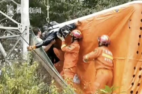 穿絕緣防蜂服爬高壓電塔摘蜂窩 男子仍電擊被困