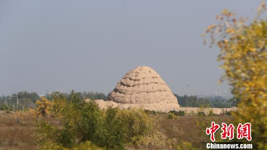 西夏陵遺址。　于晶 攝