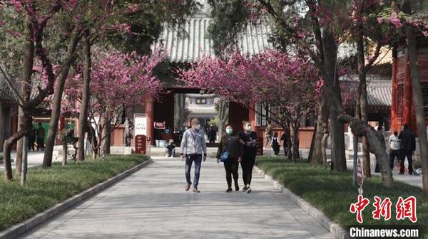 陜西博物館“線上云游”對接“實(shí)地看展”民眾“花式刷館”